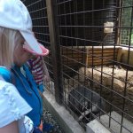 phoca_thumb_m_vp- 1.den  50 Fotogalerie